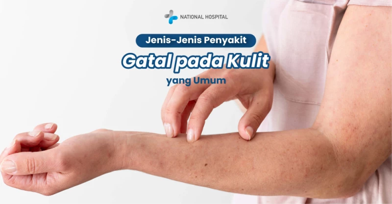 Understanding Itchy Skin Conditions and How to Treat Them