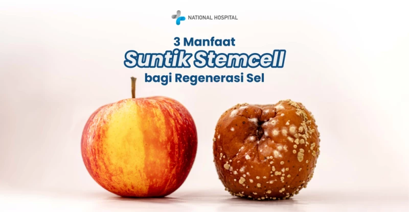 3 Benefits of Stem Cell Injections for Cell Regeneration