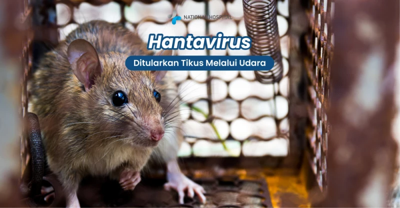 Hantavirus: A Rare Infection to Be Aware Of, Without Causing Panic