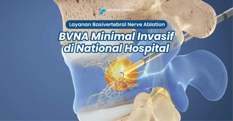 Minimally Invasive Basivertebral Nerve Ablation (BVNA) Service at National Hospital