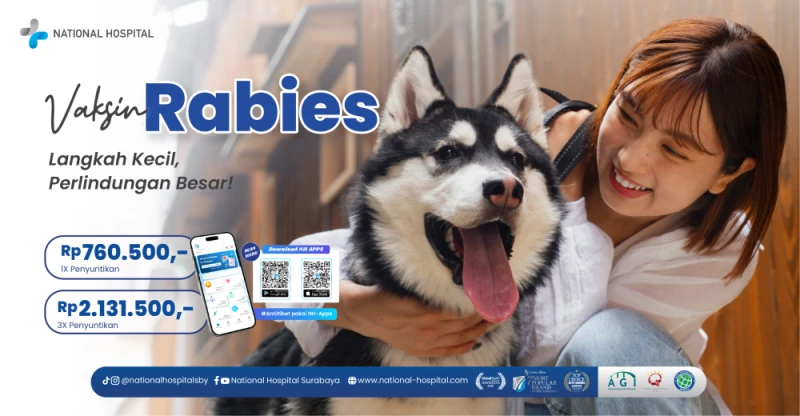 Vaksin Rabies: Langkah Kecil, Perlindungan Besar!