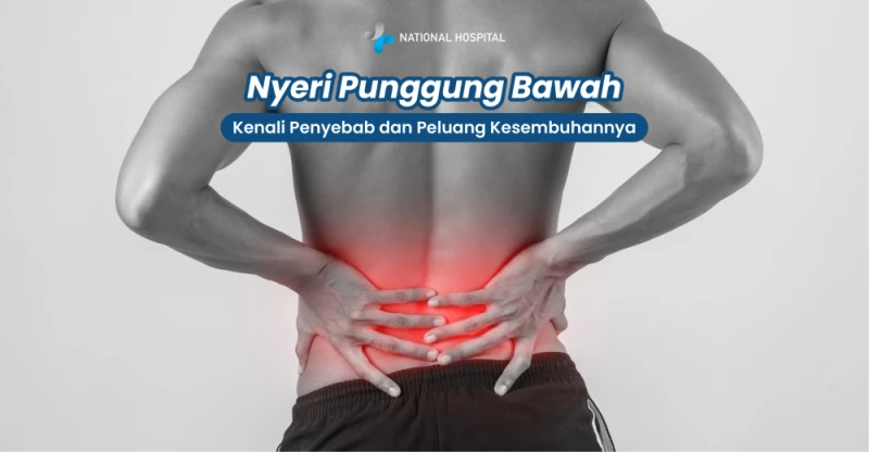 Low Back Pain: Understanding the Causes and Prospects for Recovery