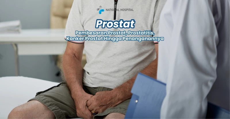 Understanding the Prostate: Prostate Enlargement, Prostatitis, Prostate Cancer and Its Treatment